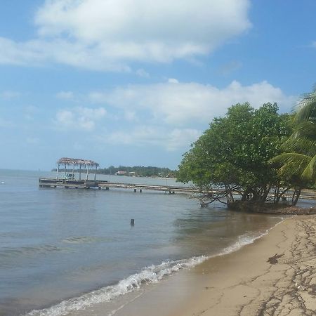 Monkey Beach Retreat Monkey River Town Exterior photo